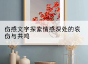 伤感文字探索情感深处的哀伤与共鸣