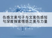 伤感文案句子与文案伤感短句深度探索情感之美与力量