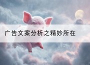 广告文案分析之精妙所在