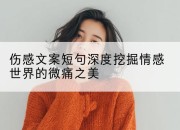 伤感文案短句深度挖掘情感世界的微痛之美