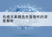 伤感文案精选失落情怀的深度解析