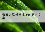 青春之殇感怀流年的无言文案