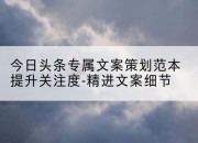 今日头条专属文案策划范本提升关注度-精进文案细节