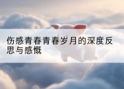 伤感青春青春岁月的深度反思与感慨