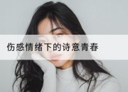 伤感情绪下的诗意青春