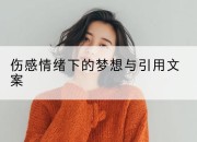 伤感情绪下的梦想与引用文案