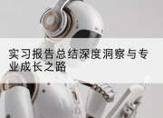 实习报告总结深度洞察与专业成长之路