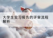 大学生实习报告的评审流程解析