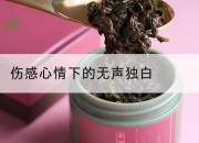 伤感心情下的无声独白