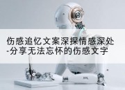伤感追忆文案深探情感深处-分享无法忘怀的伤感文字