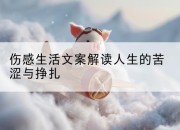伤感生活文案解读人生的苦涩与挣扎
