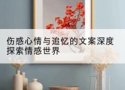 伤感心情与追忆的文案深度探索情感世界