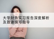 大学财务实习报告深度解析及致谢撰写指导