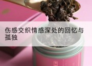 伤感交织情感深处的回忆与孤独