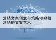营销文案创意与策略短视频营销的文案艺术