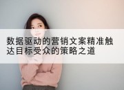 数据驱动的营销文案精准触达目标受众的策略之道