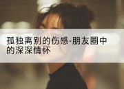孤独离别的伤感-朋友圈中的深深情怀