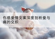 伤感爱情文案深度剖析爱与痛的交织