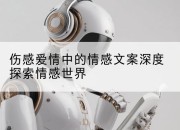伤感爱情中的情感文案深度探索情感世界