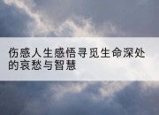 伤感人生感悟寻觅生命深处的哀愁与智慧