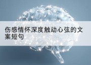 伤感情怀深度触动心弦的文案短句