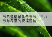 节日温情献礼母亲节、三八节与冬至的祝福短信