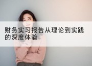 财务实习报告从理论到实践的深度体验