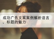 成功广告文案案例解析语言、标题的魅力
