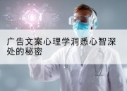 广告文案心理学洞悉心智深处的秘密