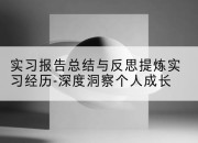 实习报告总结与反思提炼实习经历-深度洞察个人成长