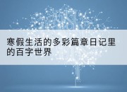寒假生活的多彩篇章日记里的百字世界