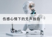 伤感心情下的无声独白