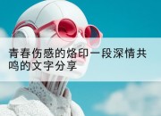 青春伤感的烙印一段深情共鸣的文字分享