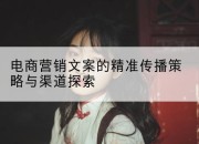 电商营销文案的精准传播策略与渠道探索