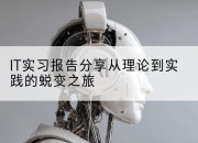 IT实习报告分享从理论到实践的蜕变之旅