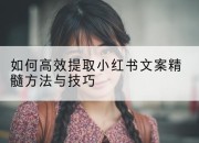 如何高效提取小红书文案精髓方法与技巧