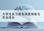 大学生实习报告深度探索与专业成长