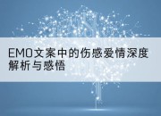 EMO文案中的伤感爱情深度解析与感悟