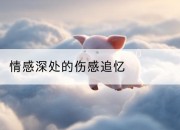 情感深处的伤感追忆