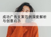 成功广告文案范例深度解析与创意启示