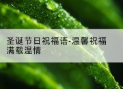 圣诞节日祝福语-温馨祝福满载温情