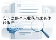 实习之路个人收获与成长体验报告