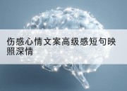 伤感心情文案高级感短句映照深情