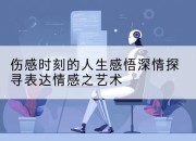 伤感时刻的人生感悟深情探寻表达情感之艺术