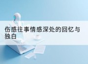 伤感往事情感深处的回忆与独白