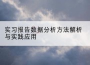 实习报告数据分析方法解析与实践应用