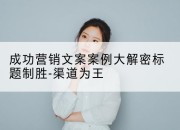 成功营销文案案例大解密标题制胜-渠道为王