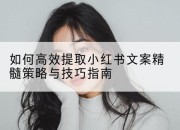 如何高效提取小红书文案精髓策略与技巧指南