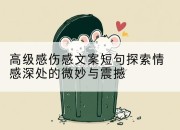 高级感伤感文案短句探索情感深处的微妙与震撼