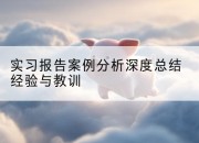 实习报告案例分析深度总结经验与教训